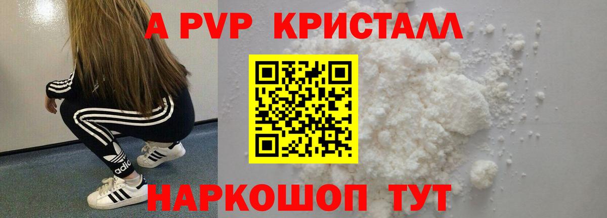 Alfa_PVP СК КРИС Александров