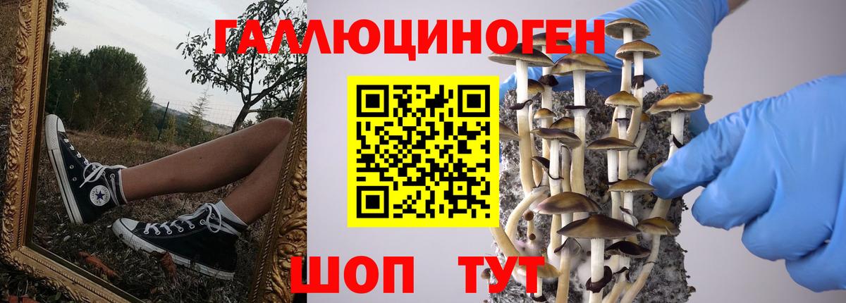 Галлюциногенные грибы мухоморы Александров